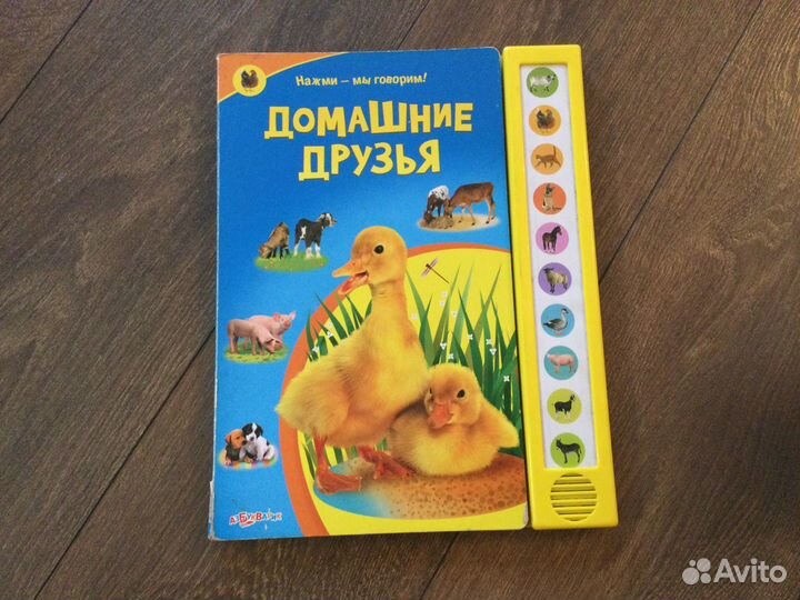 Говорящая книга