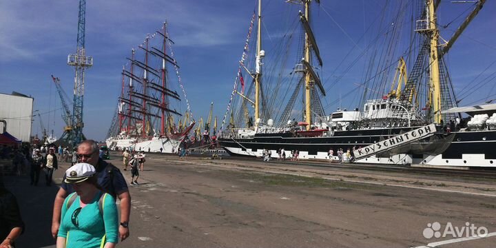 Экскурсии, гид. Калининград и область