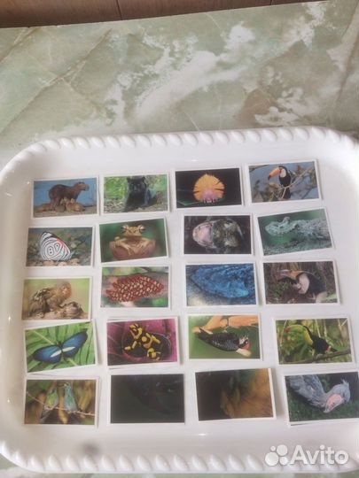 Стикермания.Карусель