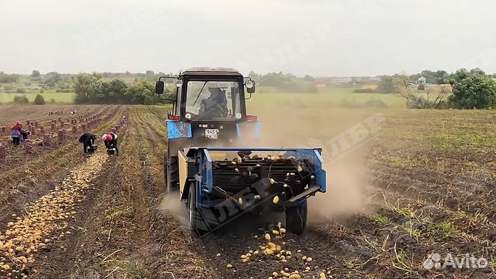 Копатель корнеплодов Агропромсельмаш УКВ-2-01, 2023