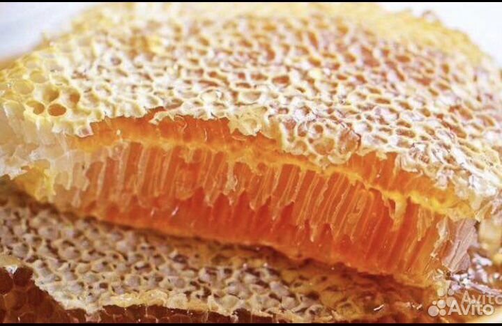Соты медовые