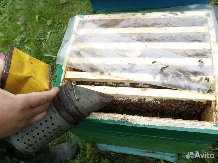 Продукты мед