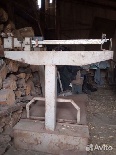 Бараны овцы