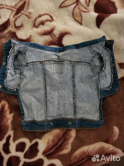 Вещи для маленьких собак