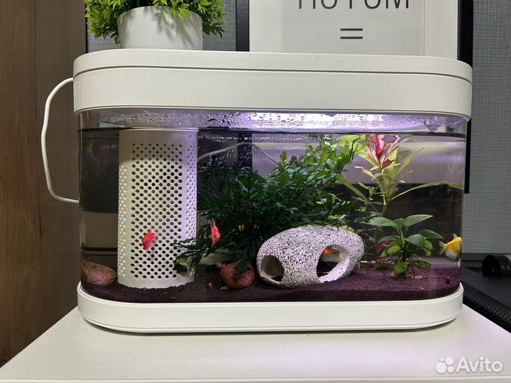 Аквариум xiaomi с рыбками