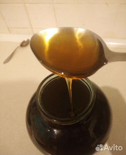 Мед 2023, Мед в сотах 2023