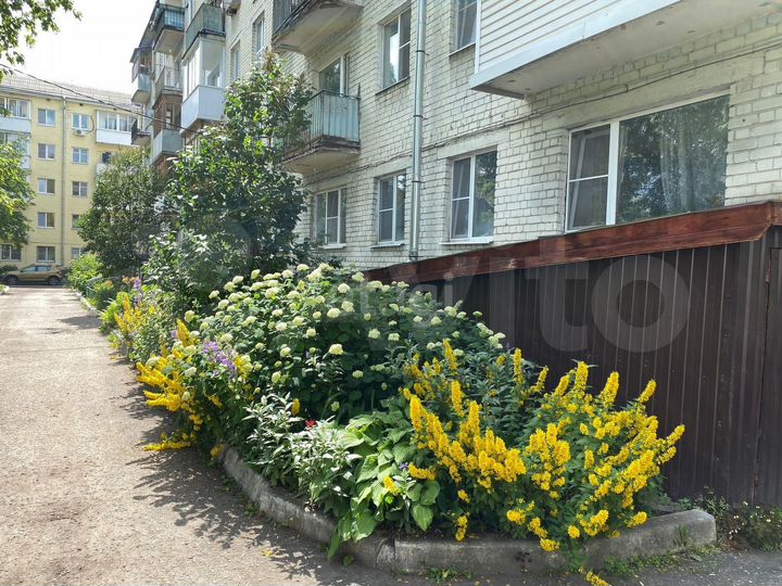 2-к. квартира, 44,7 м², 2/5 эт.