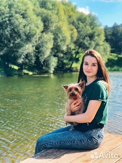 Выгул собак, няня и передержка для животных