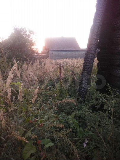 Участок 15 сот. (ИЖС)