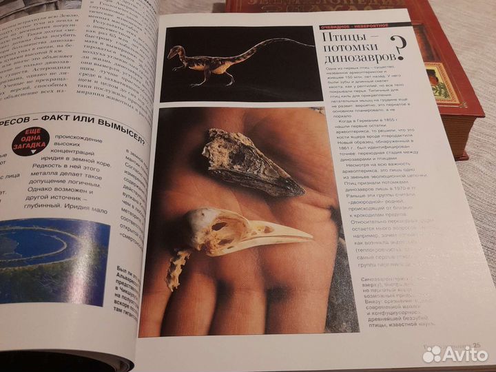 Энциклопедия