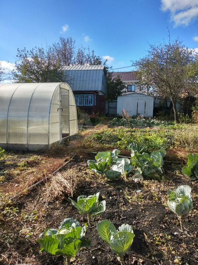 Дача 33 м² на участке 6,2 сот.