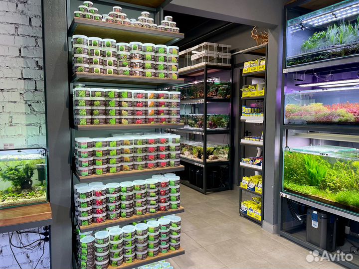 Меристемные аквариумные растения