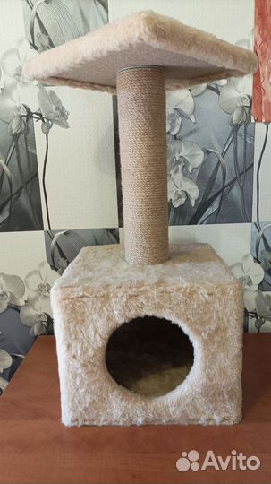 Когтеточка для кошки с домиком