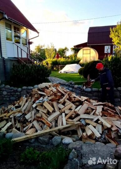 Дрова с доставкой по области любые