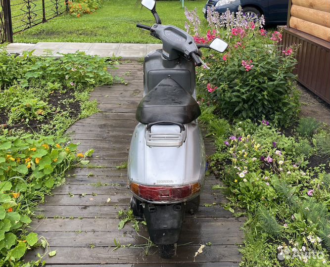 Honda lead 50