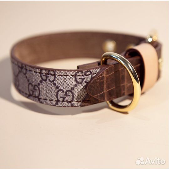 Эксклюзивные ошейники для собак