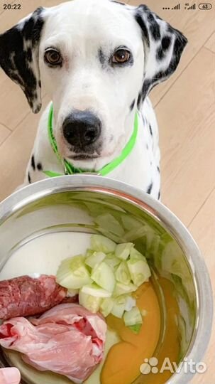 Натуральное питание для собак