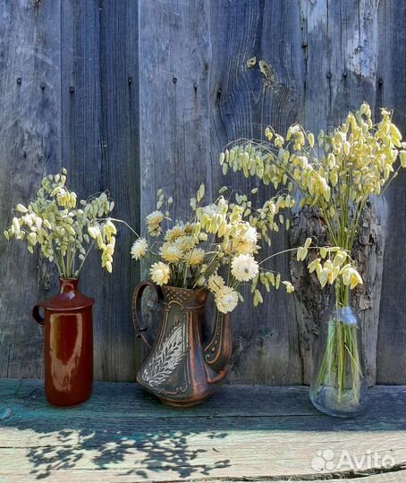 Сухоцветы колосья