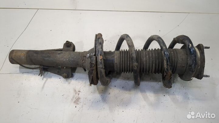 Амортизатор подвески Ford Transit, 2011