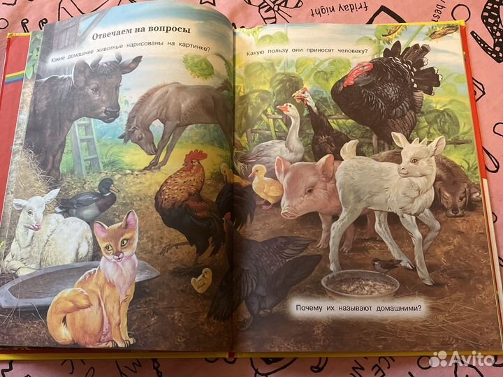 Первая книга после букваря