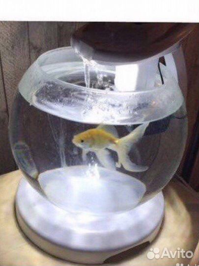 Каскадный аквариум etra Cascade Globe