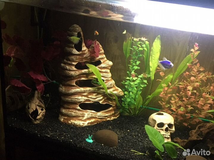 Аквариум 200 литров со всем содержимым