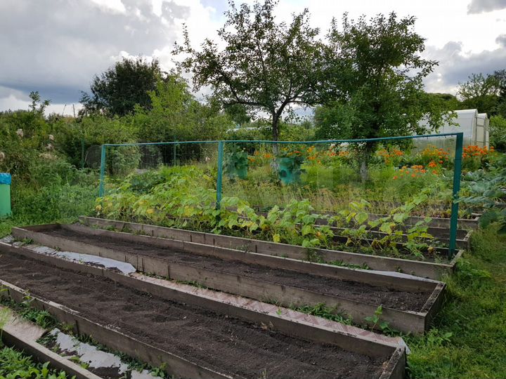 Участок 6,5 сот. (СНТ, ДНП)