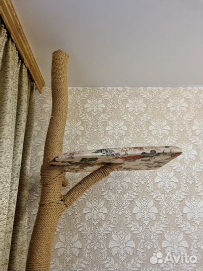 Когтеточка из дерева