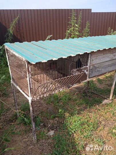 Клетка для кроликов с маточником