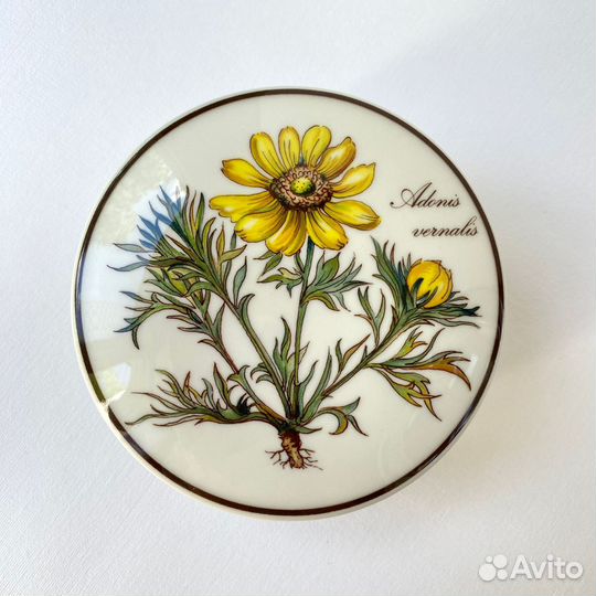 Шкатулка Villeroy Boch Botanica