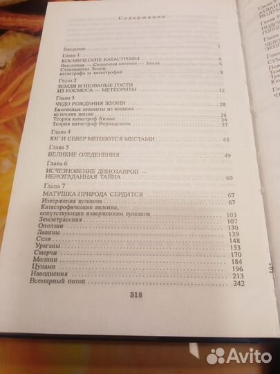 Тайны катастроф, Денисова Полина