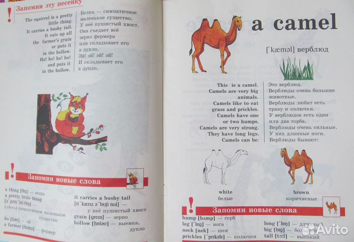 Учу английский для детей 6-8 лет