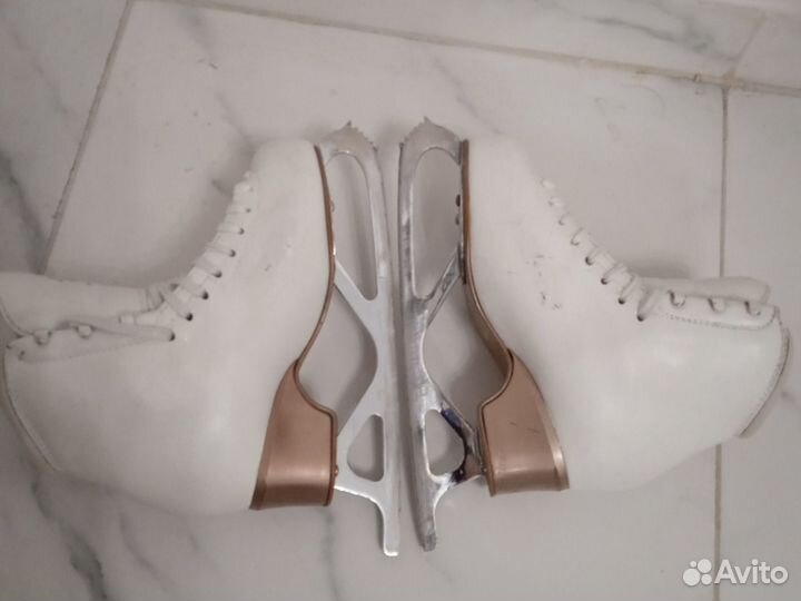 Edea chorus 225. Pro freestyle lite 8.50