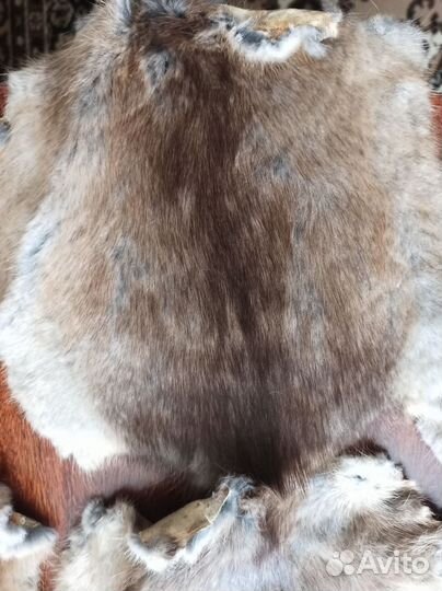 Шкурки ондатры
