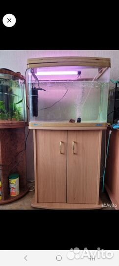 Аквариумы Jebo 100л, 60л сфера с тумбой 65 л,45 л