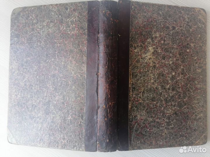 Стихотворения С. Я. Надсона 1888 г и 1899г