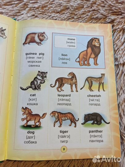 Англо-русский визуальный словарь