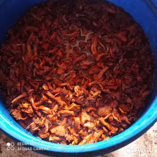 Грибы лисички отварные за кг