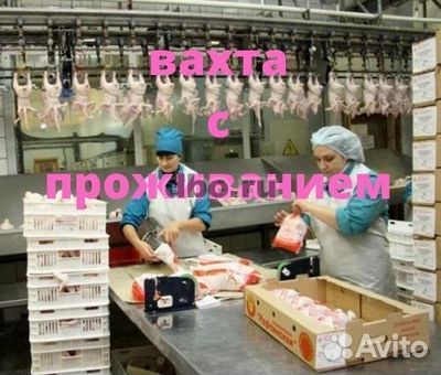 Упаковщики фасовщики вахта