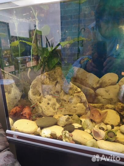 Аквариум с тумбой 200 литров, полный комплект