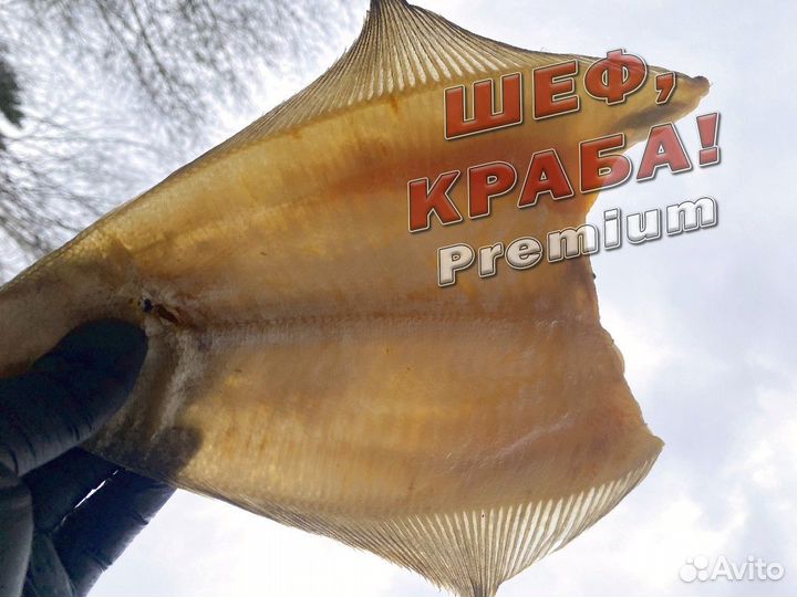 Ерш мурманский
