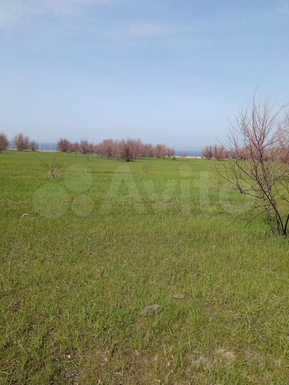 Участок 7 сот. (ИЖС)