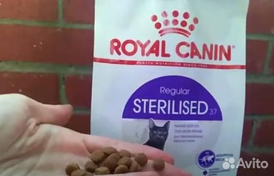 Kорм для кошек royal canin Royal Canin сухой корм