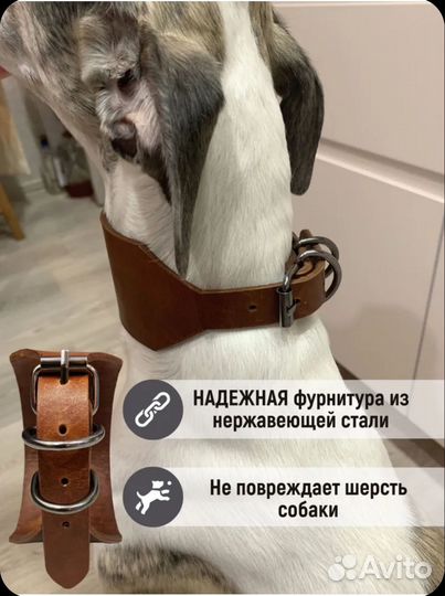 Ошейник для собак