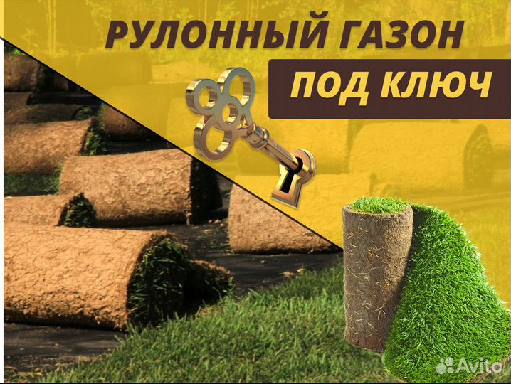 Газон рулонный под ключ