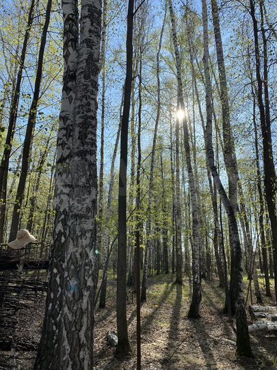 Дом 62 м² на участке 40 сот.