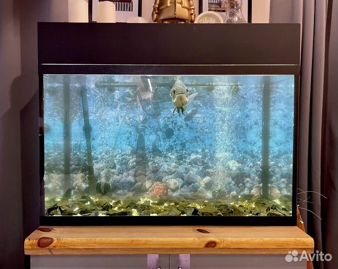 Аквариум 140 литров с тумбой и оборудованием