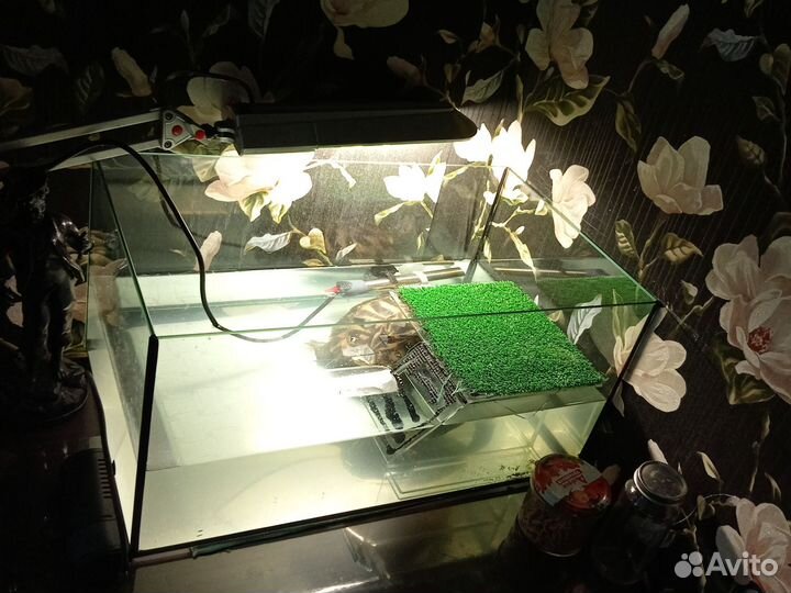Аквариум