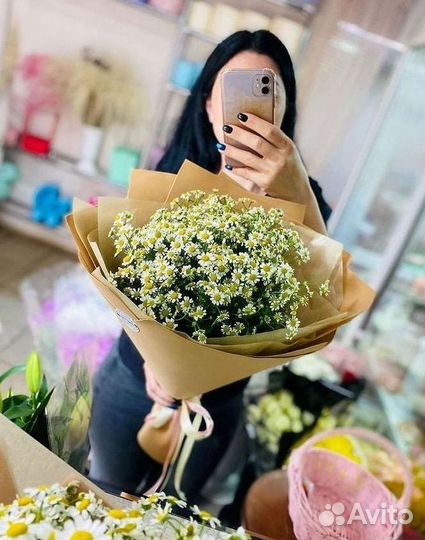 Цветы ромашки