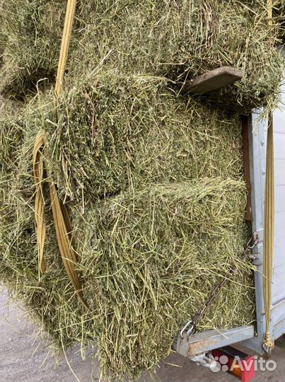 Сено в тюках